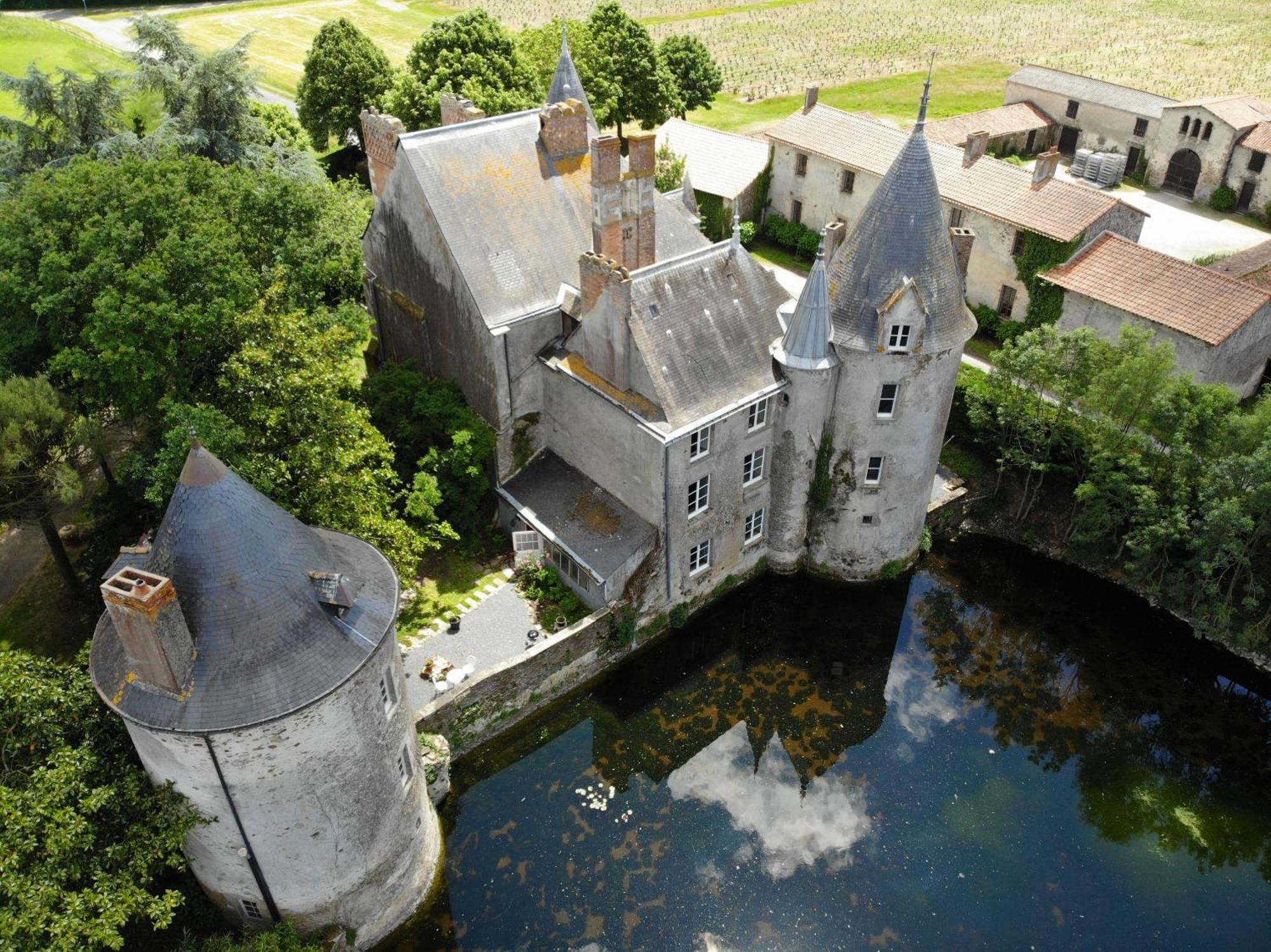 Château de la Preuille Bed&Breakfast Montaigu-Vendee Exterior foto